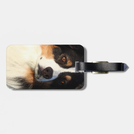 Australian Shepherd Bagagelabel (Achterkant horizontaal)