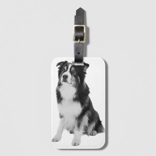 Australian Shepherd Bagagelabel (Voorkant (verticaal))