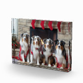 Australian Shepherd bij de open haard Kerstmis Fotoblokken (Rechts)