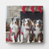 Australian Shepherd bij de open haard Kerstmis Fotoplaat (Voorkant)