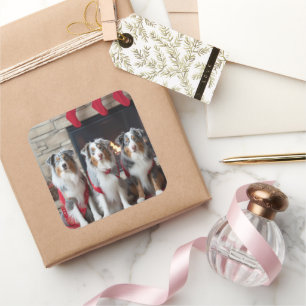 Australian Shepherd bij de open haard Kerstmis Vierkante Sticker