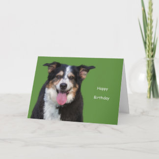 Australian Shepherd Birthday by Focus for a Oorzaa Kaart