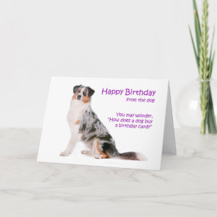Australian Shepherd Birthday Card Kaart