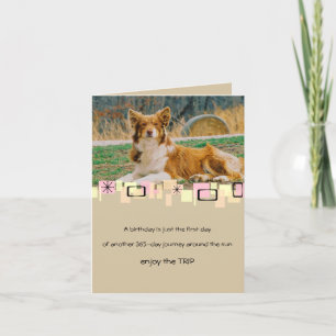 Australian Shepherd Birthday Wenskaart Kaart