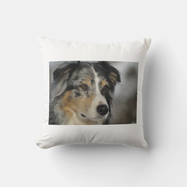 australian-shepherd-blue merle 2.png kussen (Voorkant)