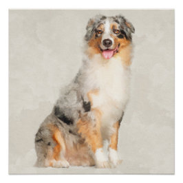Australian Shepherd - Blue Merle Waterverf Perfect Poster