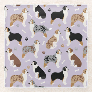 Australian Shepherd Botten and Paws Glazen Onderzetter