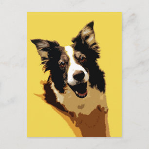 Australian Shepherd Briefkaart