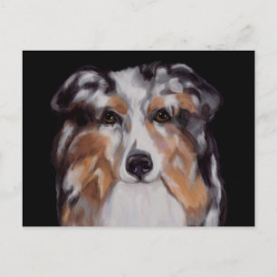 AUSTRALIAN SHEPHERD     BRIEFKAART