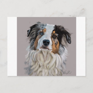 Australian Shepherd Briefkaart