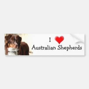 Australian Shepherd bumpersticker