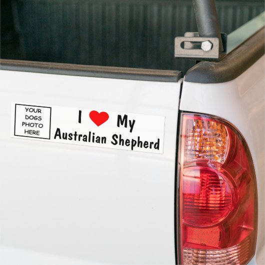 Australian Shepherd Bumpersticker (Op Truck)