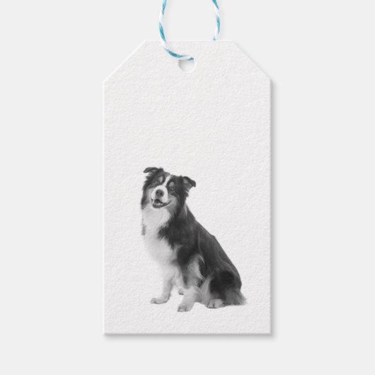 Australian Shepherd Cadeaulabel (Voorkant)