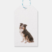 Australian Shepherd Cadeaulabel (Achterkant)