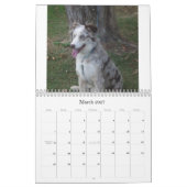 Australian Shepherd Calander Kalender (Mar 2027)