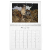 Australian Shepherd Calander Kalender (Feb 2026)