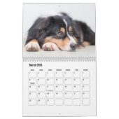 Australian Shepherd Calendar Kalender (Mar 2026)