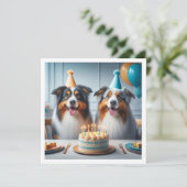 Australian Shepherd, Carte d'anniversaire de chien (Debout devant)