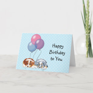 Australian Shepherd Custom Happy Birthday Kaart