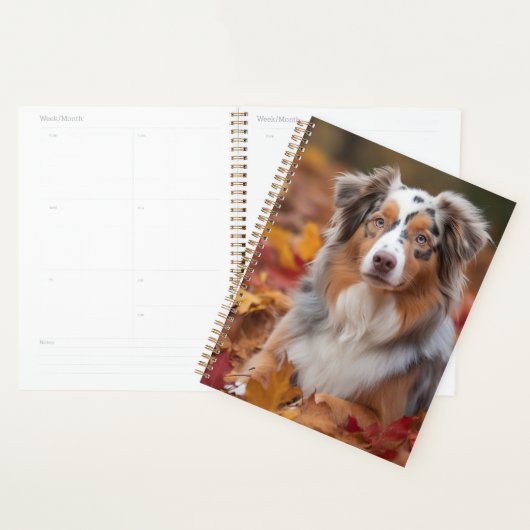 Australian Shepherd dans les feuilles d'automne qu (Devant avec enveloppe)