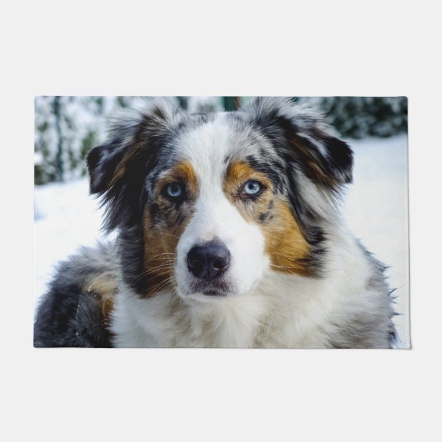 Australian Shepherd Deurmat (Voorkant)
