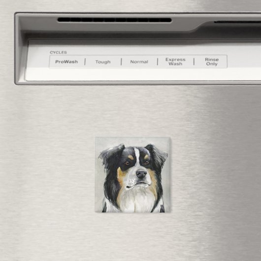 Australian Shepherd Dog Art Magnet Magneet (Insitu (Vaatwasser))