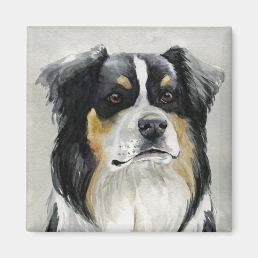 Australian Shepherd Dog Art Magnet Magneet (Voorkant)