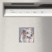 Australian Shepherd Dog Art Magnet Magneet (Insitu (Vaatwasser))