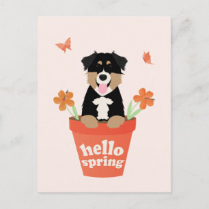 Australian Shepherd Dog in Flower Pot Briefkaart