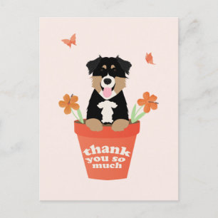 Australian Shepherd Dog in Flower Pot Dank u Briefkaart