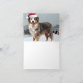 Australian Shepherd Dog in Sneeuwkerst Kaart (Binnen)