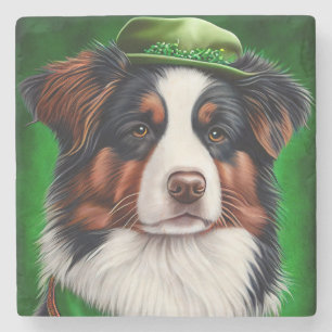 Australian Shepherd dog in St. Patrick's Day Dress Stenen Onderzetter
