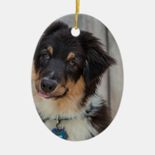 Australian Shepherd Dog Keramisch Ornament