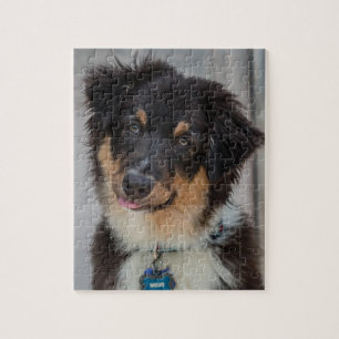 Australian Shepherd Dog Legpuzzel