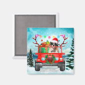 Australian Shepherd dog met kerstcadeaus Magneet (Voorkant / Achterkant)