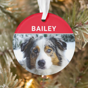 Australian Shepherd Dog met naam en foto Ornament