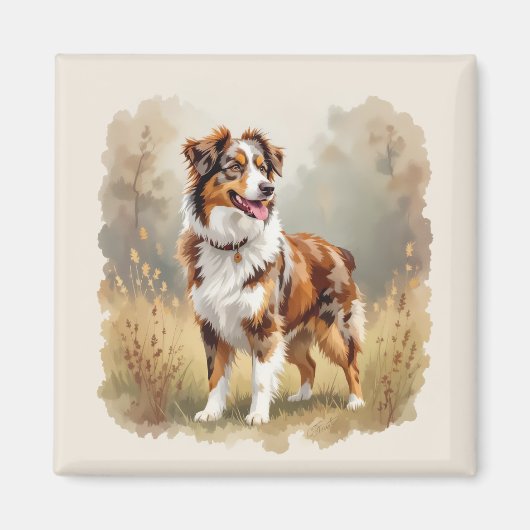Australian Shepherd Dog Red Merle Aussie Magneet (Voorkant)