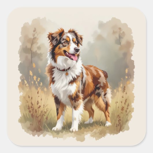 Australian Shepherd Dog Red Merle Aussie Vierkante Sticker (Voorkant)