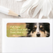 Australian Shepherd Dog Return Address Label (Insitu)