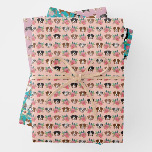 Australian Shepherd Dogs Inpakpapier Vel (In situ)