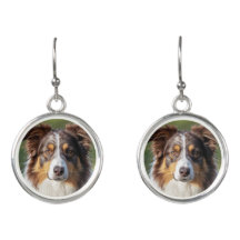  Australian Shepherd Drop