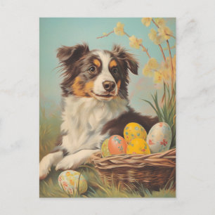 Australian Shepherd Easter Briefkaart