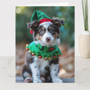 Australian Shepherd Elf Puppy Kerst Kaart