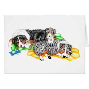 Australian Shepherd Family Nap
