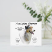 Australian Shepherd Geschiedenis, Alles over Aussi Briefkaart (Staand voorkant)