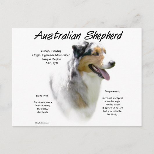 Australian Shepherd Geschiedenis, Alles over Aussi Briefkaart (Voorkant)