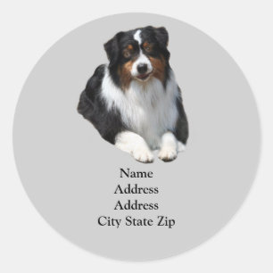 Australian Shepherd Guardian-adreslabel Ronde Sticker