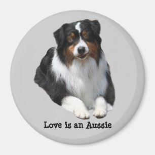 Australian Shepherd Guardian Magnet Magneet