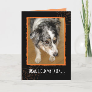 Australian Shepherd Halloween Trick and Trees Kaart