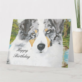 Australian Shepherd Happy Birthday Big Card Kaart